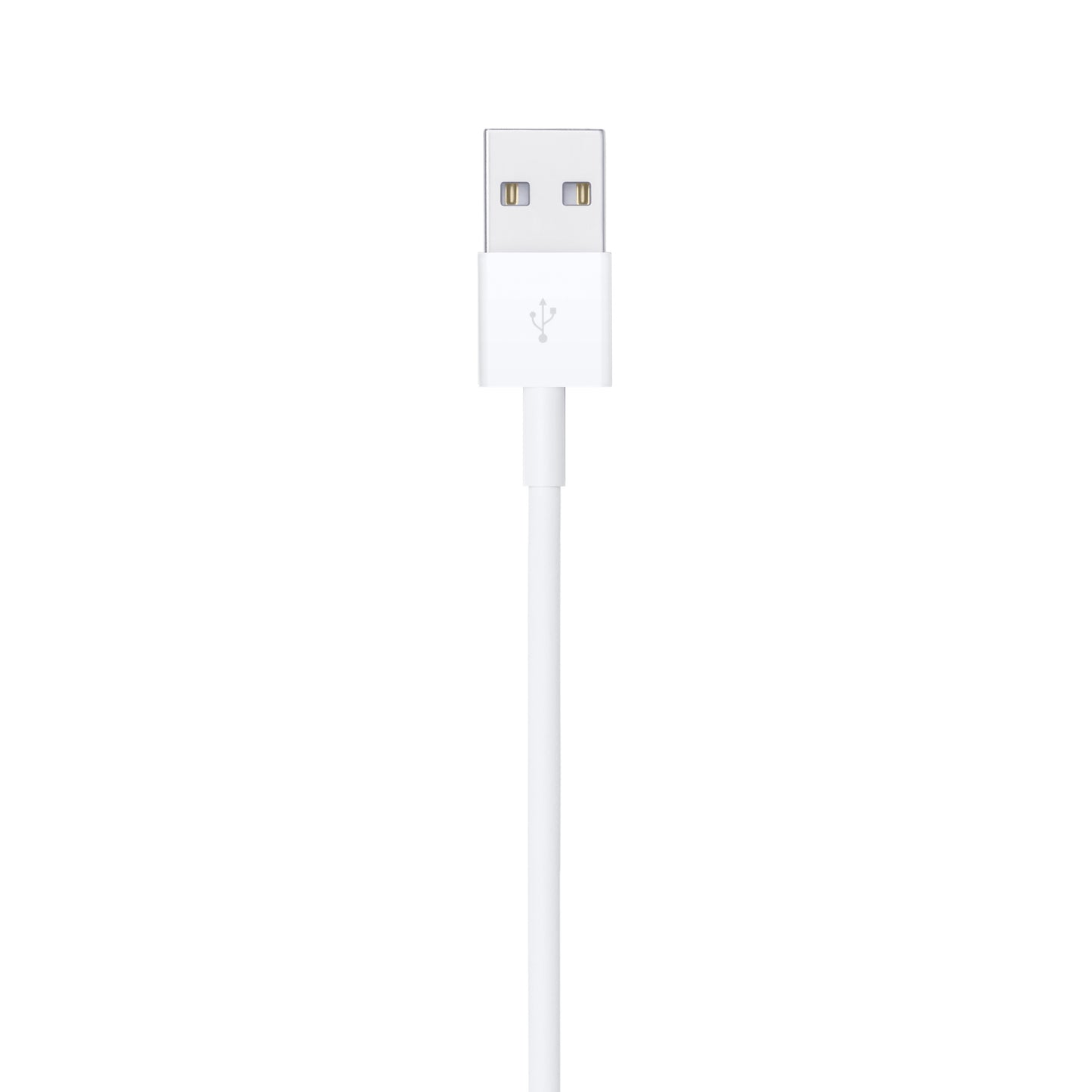 Apple Lightning to USB Cable (1M)
