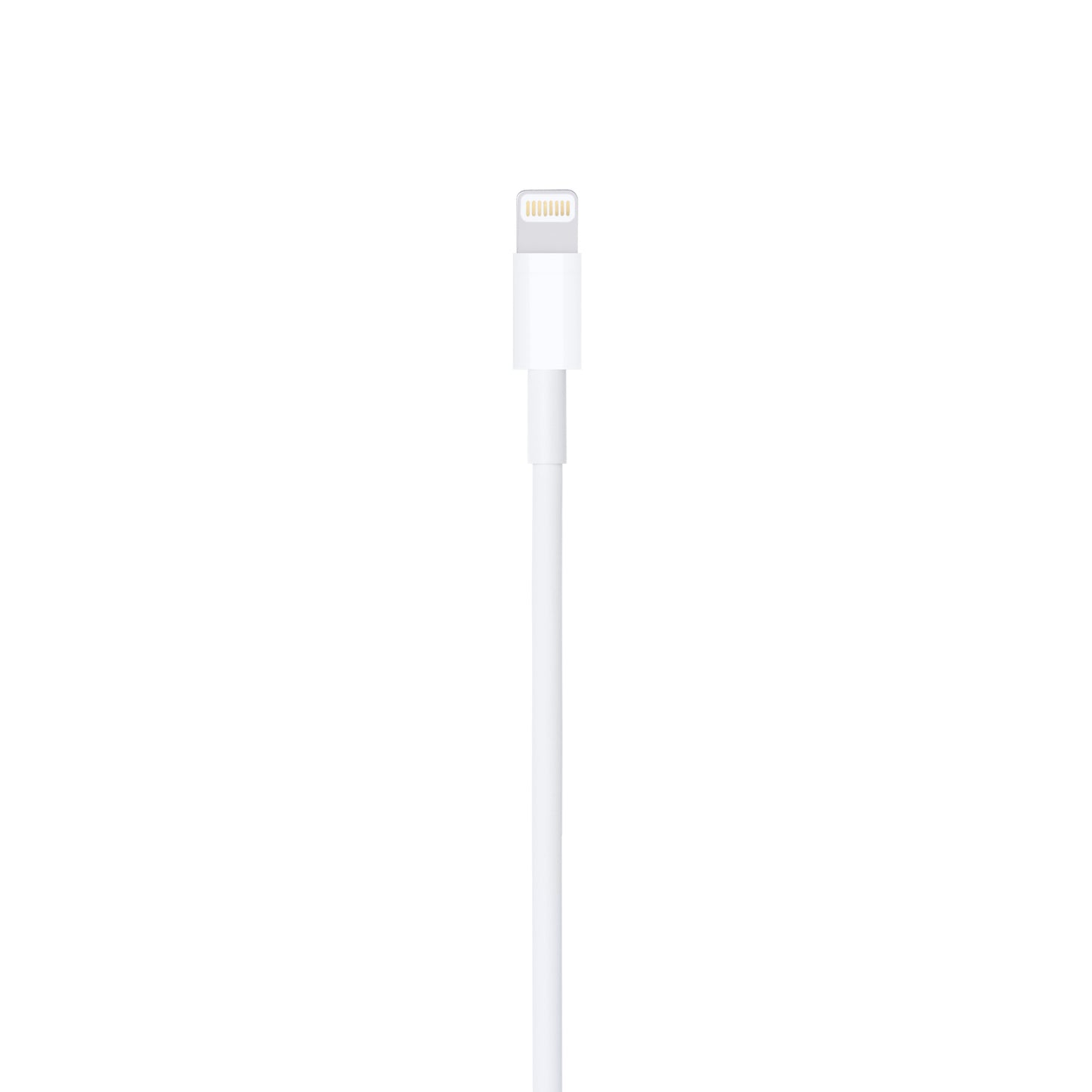Apple Lightning to USB Cable (1M)