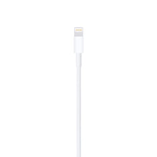 Apple Lightning to USB Cable (1M)