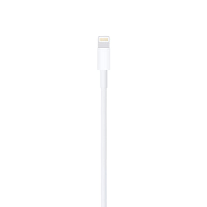 Apple Lightning to USB Cable (1M)