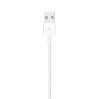 Apple Lightning to USB Cable (1M)