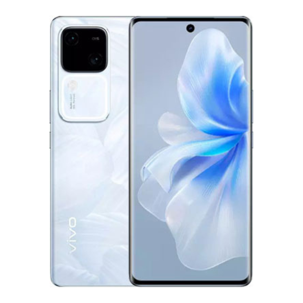 (Display Set) Vivo V30 5G